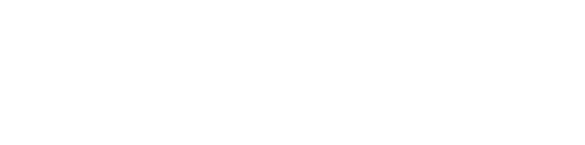 NEW SKY